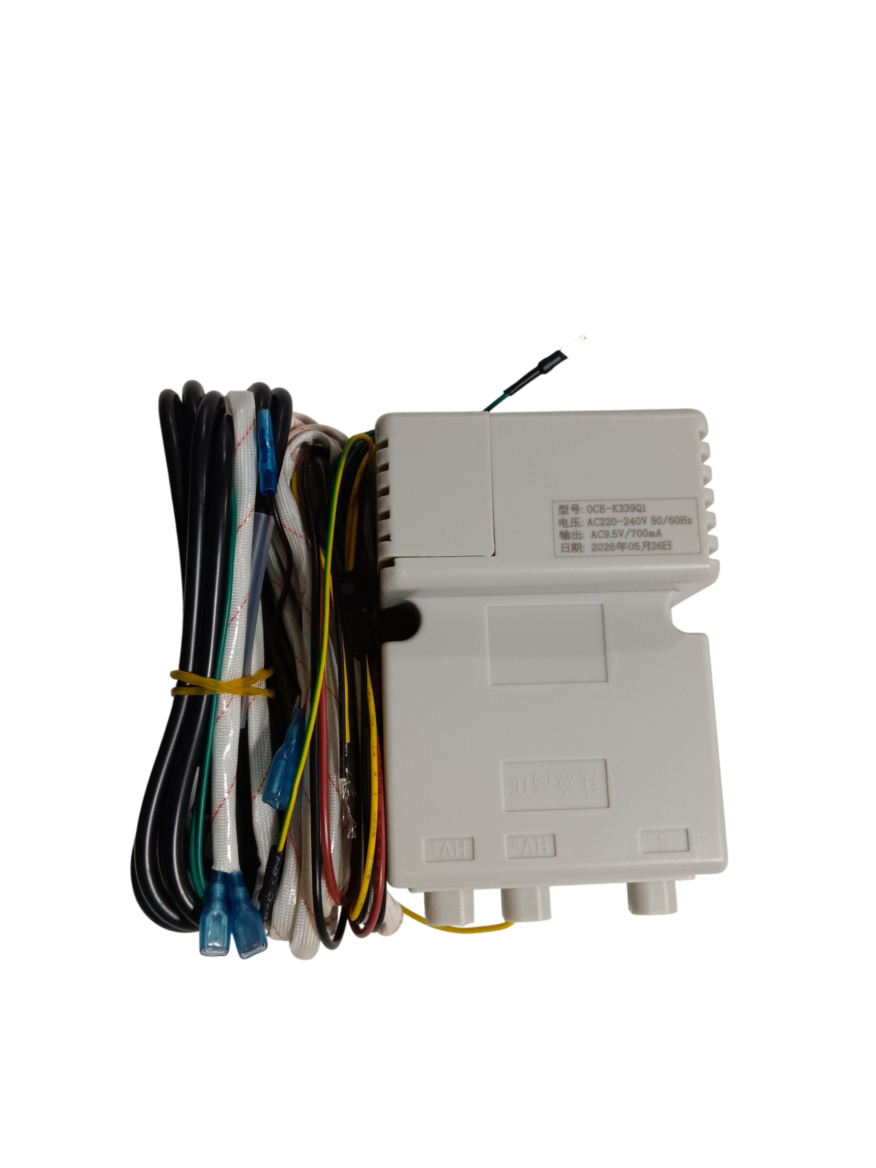 YPT Combustion Controller P-EL-050-301-9